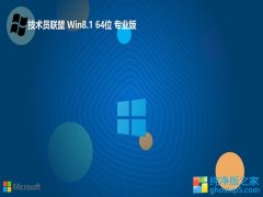 <font color='#0000FF'>Ա64λwin8.1ٰv2025.05</font>