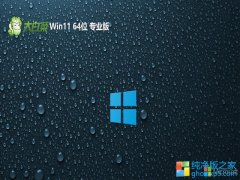 <font color='#0000FF'>ײwin11Я64λv2025.04⼤</font>