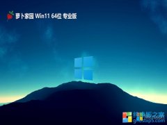 <font color='#339900'>ܲ԰win11 64λѰv2025.05</font>