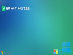 <font color='#339900'>̲ϵͳ64λwin11װͨv2025.05</font>